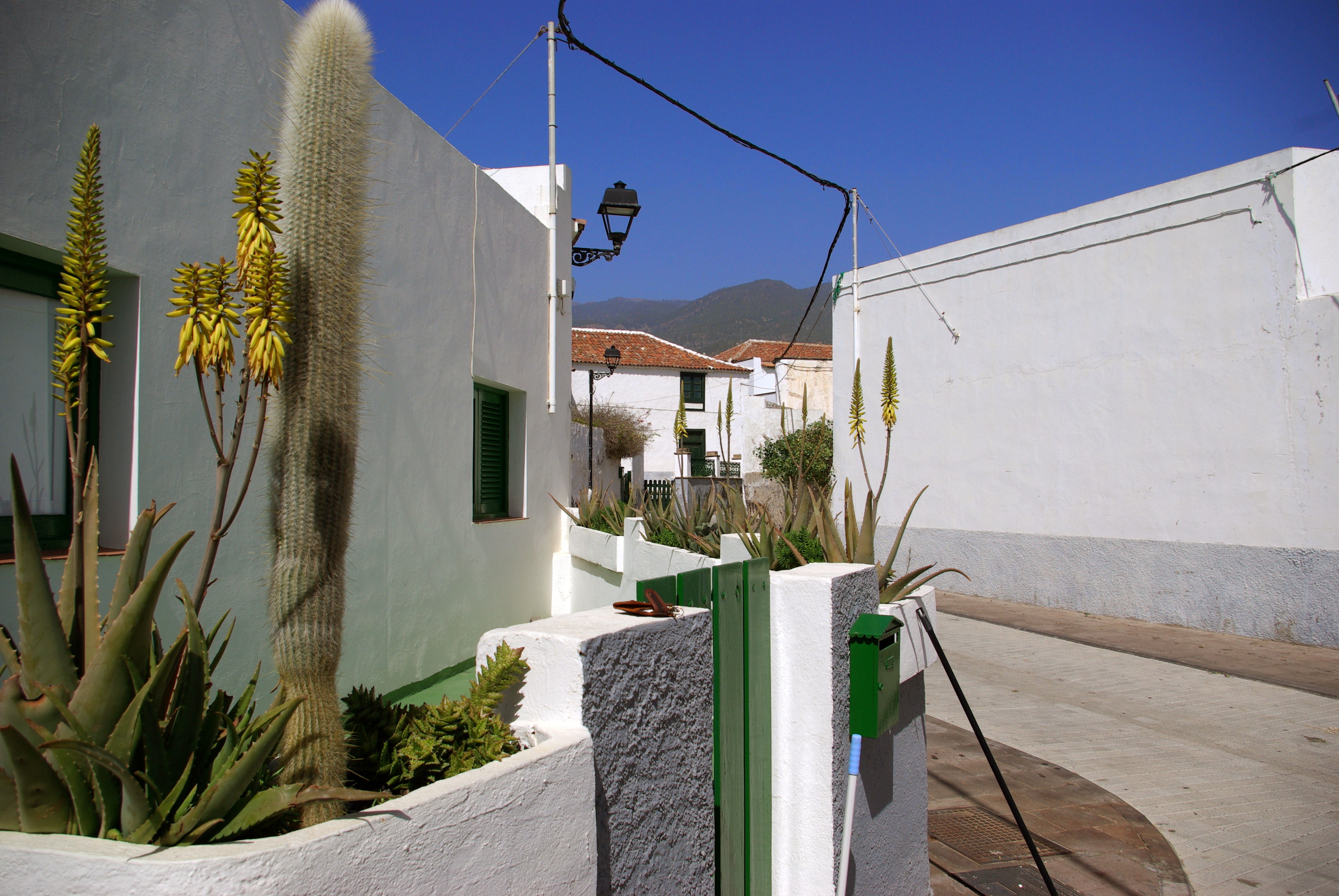 Street view, Arico Nuevo, Tenerife